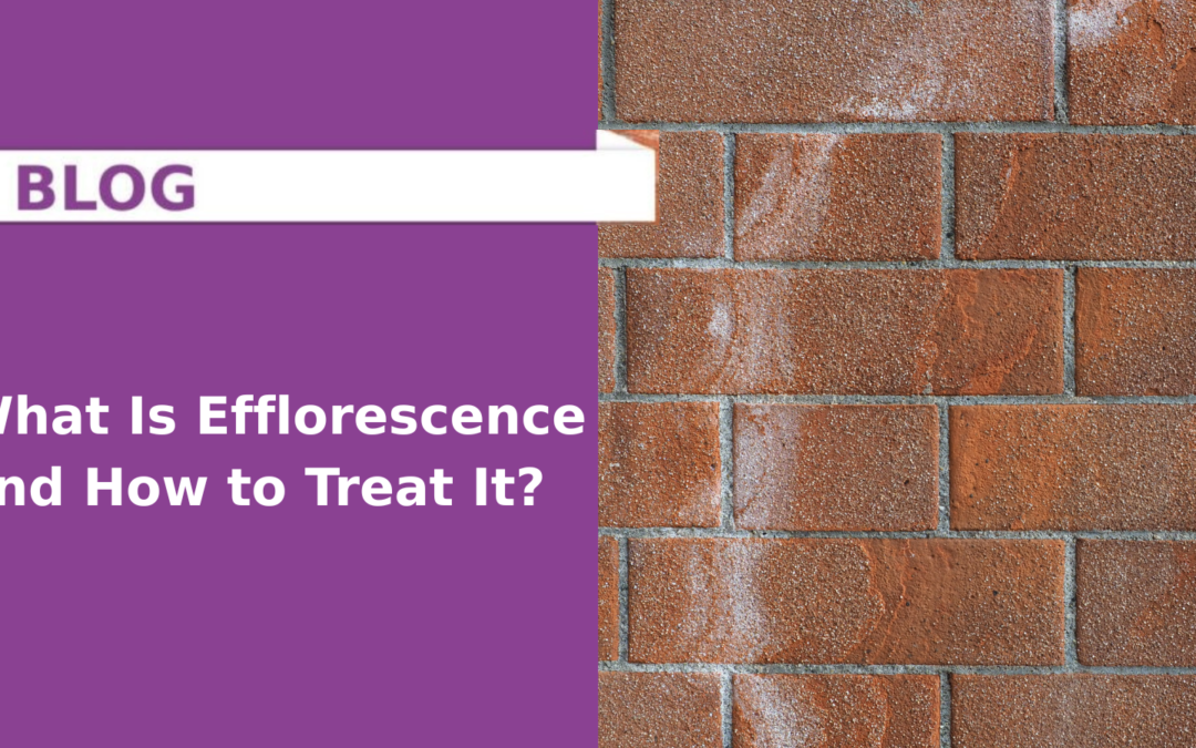 What Is Efflorescence and How to Treat It?