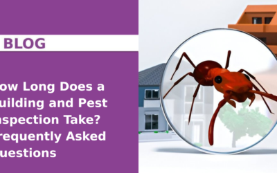 How Long Does a Building and Pest Inspection Take? Frequently Asked Questions